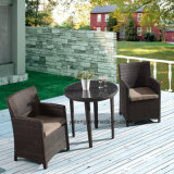 PE-Rattan Alumiframe Outdoor Wicker Furniture Garden Dining Set by Chair &Table (Yta020-1&Ytd581