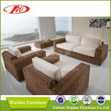 Rattan Sofa, Rattan Furniture, Sectional Sofa (DH-1059)