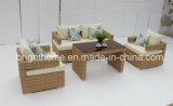 2015 New Design Outdoor Sofa Set Wicker Furniture/Outdoor Leisure Furniture (BP-8008)