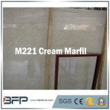 Cream Natural Stone Marble/Granite/Onxy for Background/Wall Cladding