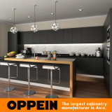 Wholesale Modern Stylish Black Matte Lacquer Wooden Kitchen Cabinet (OP16-L14)