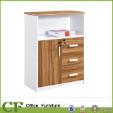 2014 New File Cabinet (CF-S81602)