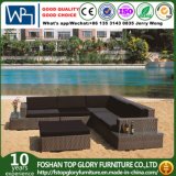 PE Rattan Sofa for Garden Hotel Furniture Patio Furniture (TG-JW04)
