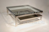 Square Glass Top Coffee Table with Silver Steel Leg and Frame for Home Furniture
