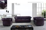 Living Room Genuine Leather Sofa A666