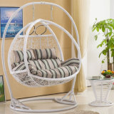 Double Swing, Rattan Furniture, Rattan Basket (D156A)