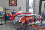 Modern High Quality Queen Metal Bed (OL1755)