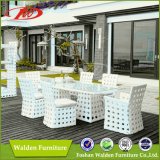 Wicker Furniture, Garden Table, Leisure Chair (DH-9538)