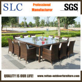 Wicker Table Set/Deep Seating Outdoor Wicker Furniture (SC-A7198)