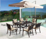 Outdoor /Rattan / Garden / Patio/ Hotel Furniture Cast Aluminum Chair & Table Set (HS 3199C & HS 7118DT)