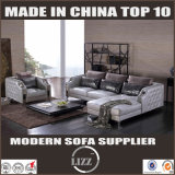 Luxury Classic Euro Style Leather Sofa (LZ-077)