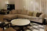 Modern Style Living Room Wooden Fabric Sofa Furniture (D-68)