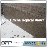 China Tropical Brown Natural Stone Granite Floor Tile, Counter Top