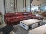 New Stylish Living Room Genuine Leather Sofa (SBL-9189)