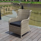 Outdoor Patio Leisure Home Hotel Office Half Round Wicker Reataurant Dining Chair (J5881)