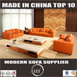 New Arrival Modern Sectional Leather Sofa (Lz705)