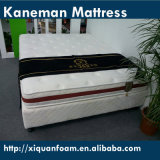Cheap Export Wholesale Compressed Vacuumed Roll up Foam Mattress