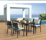Outdoor /Rattan / Garden / Patio/Hotel Furniture Polywood Furniture Chair & Table Set (HS 3001AC & HS 7115DT)
