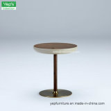 Living Room Furniture Circular Round Small Side Table (T6128)