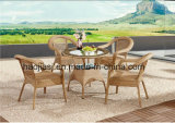 Outdoor /Rattan / Garden / Patio/ Hotel Furniture Rattan Chair & Table Set (HS1010C& HS 6080CDT)