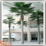 Hot Sale Fiberglass Artificial Fan Palm Tree for Decoration