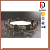 High Quality Stacking Aluminium Steel Metal Banquet Chair with Back Pattern (BR-A101)