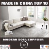 Germany Living Room Leather Down Sofa