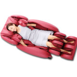 Space Capsule Body Massage Chair (RT8302)