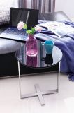 Fashion Design Stainless Steel Side End Coffee Table (CJ-142)
