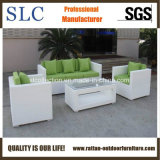 Wicker Outdoor Furniture/New Design Rattan Sofa Set/ Sofa Furniture (SC-B8219)