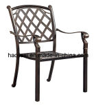 Outdoor / Garden / Patio/ Rattan/Cast Aluminum Chair HS3196c