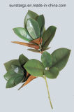 PE Magnolia Leaves Artificial Plant for Home Decoration (50642)
