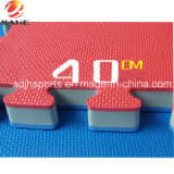 Fast Delivery Cheap High Density EVA Tatami Taekwondo Mat Puzzle Mat for Sale