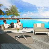 Chinese Manufacturer Cheap Rattan Outdoor Sofa (S236)