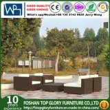 Patio Furniture Balcony Poly Rattan/Wicker Sofa (TG-JW17)