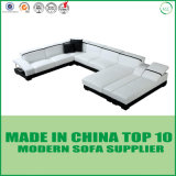 Modern Italian Leather Sofa Cum Queene Bed