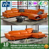 Home Furniture Living Room Furniture Sofa TG-Ydb2293