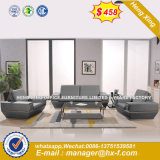 Modern Hotel Luxurious Leather Reception Sofa (HX-8N0804)