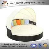Well Furnir Wf-17074 Daybed with Cushions