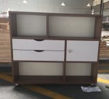 Wooden Bookcase with 2 Drawer and 1 Door