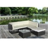 Kd Style Outdoor Rattan/Wicker Sofa Garden Furniture