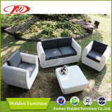 Rattan Sofa, Garden Set, Rattan Furniture (DH-8340)