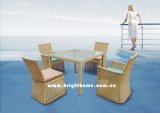 Garden Leisure Furniture/ High Quality Outdoor Furniture