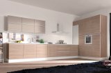 MDF Wood Modern Kitchen Cabinet Home Furniture (PR-K2017)