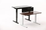 Hot Sales Modern Electric Adjustable Sit Standing Office Desk