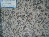 Polishing Natural Grey Granite Slab for Countertop/Wall/Tile