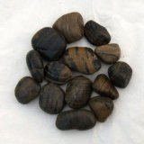 2-3cm Bengal Strips Polished a Natural Cobble &Pebble Stone (SMC-PS005)