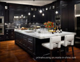 North American Luxuriours Modern Maple Solid Wood Kitchen Cabinet (PR-K2043)