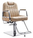 Hot Styling Hair Salon Barber Chair Furniture