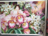 Realistic Multi Colors Flower Oil Paintings for Wall Decoration